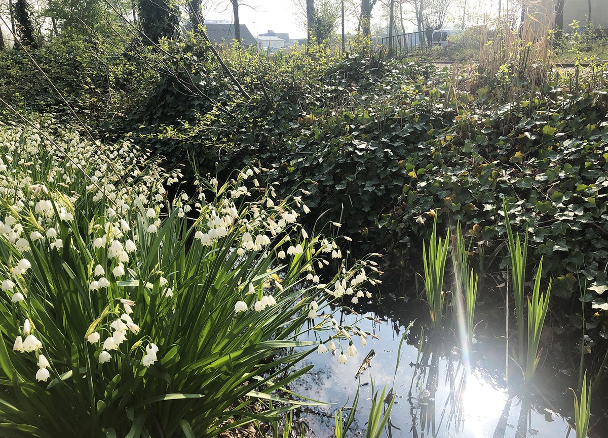 ONS-gebouw Schiedam tweet media