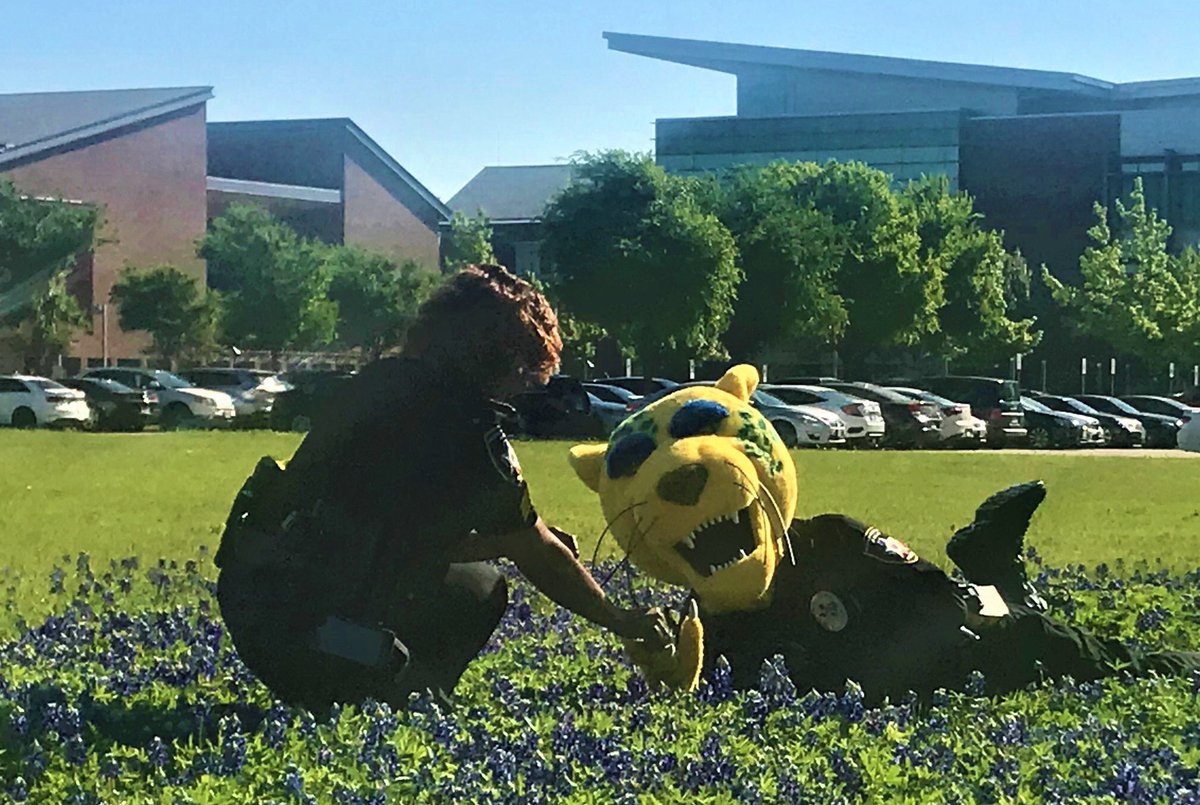 UNTDallasPD's tweet photo. UNT Dallas' Trailblazer Mascot decided to join the #BacktheBluebonnetsChallenge with the UNT Dallas Police Officers!
And well, he stole the spotlight!
#BacktheBluebonnets #UNTDallasPD https://t.co/x78MIKtA24