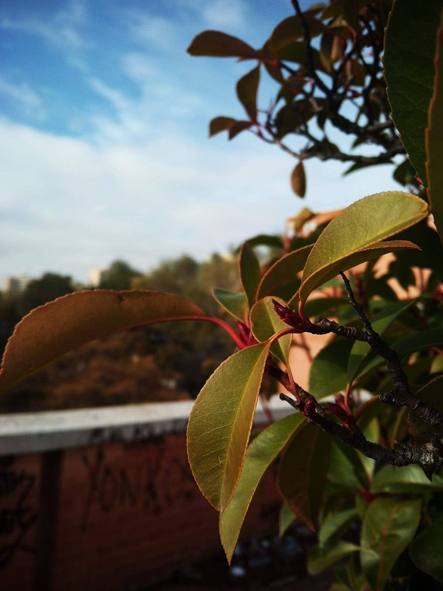 Fotos de Lucía, Nuria y Delia, algunas de las participantes en el taller de fotografía impartida por <a href="/Charlot92762737/">Charlotte11</a> en el Laboratorio de Acciones Vecinales.
La exposición con todas las fotografías se encuentra en el local de El Enredadero en el Parque de La Vaguada.