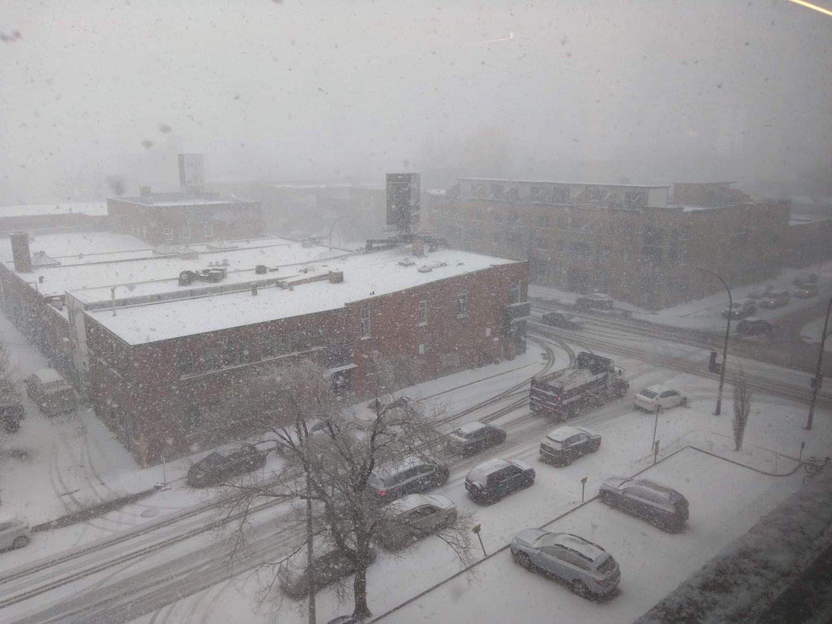 JonasMcNali's tweet photo. It's spring they say lol, Happy new year I say -_-' ...
#WinterIsComing #SpringIsLate #YourLieInApril https://t.co/1ocFfq9eeK