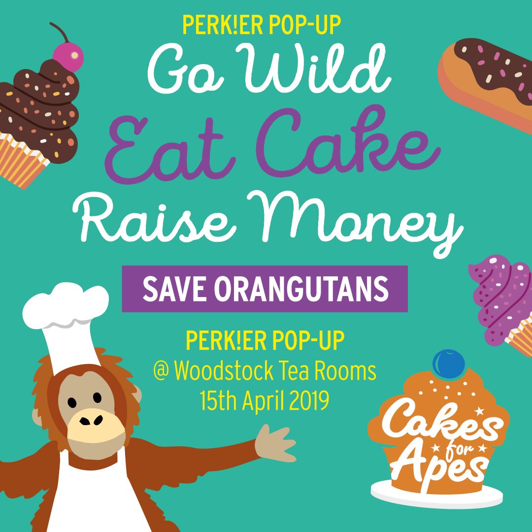 Perkierfoods's tweet image. This month we are supporting International Animal Rescue who, amongst other amazing things work in West Kalimantan to rescue and care for baby orangutans that have been taken from their mothers 🐒On Monday we will be holding our #CakesForApes event &amp;amp; we'd LOVE for you to come!