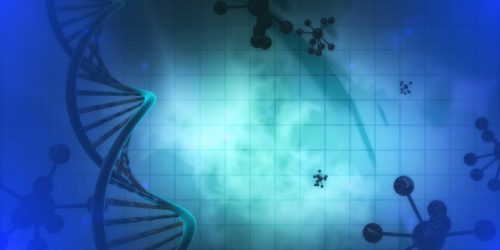 thefhguide's tweet photo. @thefhguide read James Tanner's new blog post about DNA and genealogical brick walls.  With his legal and genealogical background, it is fascinating! https://t.co/Lpqf7vV9D1 #DNA #FamilySearch #Myheritage #Findmypast #lds #retweet #Familyhistory https://t.co/lR8IRzOCv2