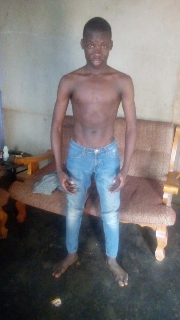 FlowflowLe's tweet image. Bonjour à tous