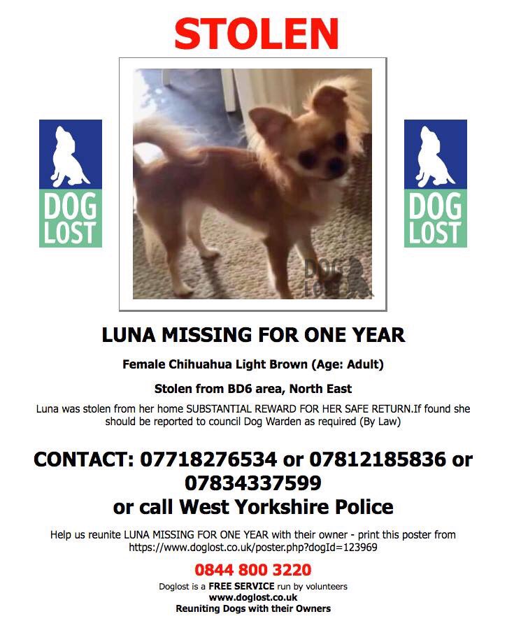 Debora (@veryluckypugs) on Twitter photo Female Chi Luna Missing From West Yorkshire since 23/1/18😞Facebook Page-Help Find Stolen Luna💕💕Have You Seen Luna Please?🙏 <a href="/MolliePug/">Mollie the Pug</a> <a href="/gelert01/">GG01</a> <a href="/rosiedoc666/">Rosie Doc</a> <a href="/BrendaBlethyn/">Brenda Blethyn</a> <a href="/RachaelB100/">Rachael</a> <a href="/suedaycam/">Sue Day</a> @jaynecellison @LizJ_T <a href="/Eloquencealways/">Rosemary</a> <a href="/thedogfinder/">Dog Finder 💙</a> <a href="/DoglostUK/">DogLost</a> <a href="/HunnyJax/">Stolen Missing Longtimelost 🐾Where Are They All</a> Female Chi Luna Missing From West Yorkshire since 23/1/18😞Facebook Page-Help Find Stolen Luna💕💕Have You Seen Luna Please?🙏 <a href="/MolliePug/">Mollie the Pug</a> <a href="/gelert01/">GG01</a> <a href="/rosiedoc666/">Rosie Doc</a> <a href="/BrendaBlethyn/">Brenda Blethyn</a> <a href="/RachaelB100/">Rachael</a> <a href="/suedaycam/">Sue Day</a> @jaynecellison @LizJ_T <a href="/Eloquencealways/">Rosemary</a> <a href="/thedogfinder/">Dog Finder 💙</a> <a href="/DoglostUK/">DogLost</a> <a href="/HunnyJax/">Stolen Missing Longtimelost 🐾Where Are They All</a>