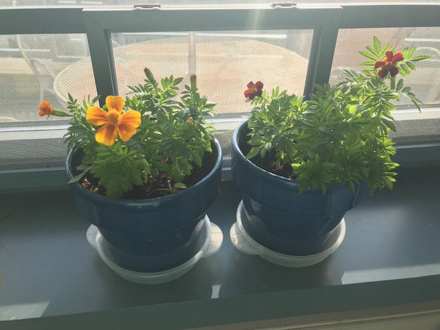 PeopleGrove tweet media