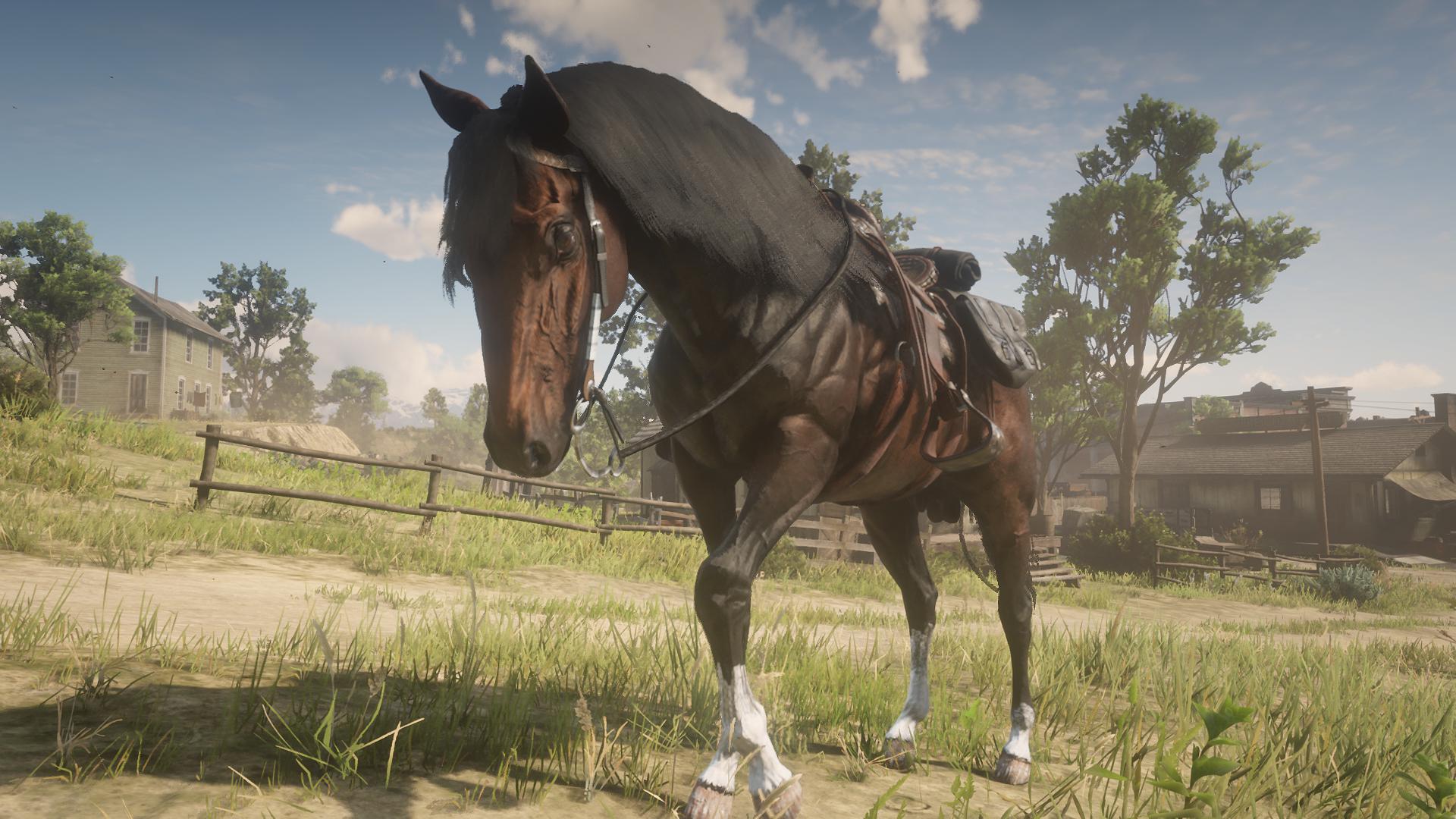 D3uWd6PW4AQeBlH.jpg:orig