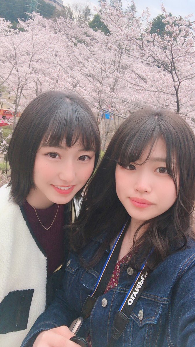 CoCoRo815's tweet photo. 🌸🌸満開のさくら🌸🌸

この日の写真と動画、合わせて200くらい😂
それだけ楽しかったってことよね🔅❤︎ https://t.co/v9VEEmtW1y