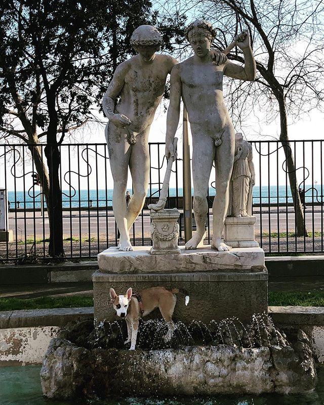 FuMoBespokenyc's tweet photo. #Venere e i suoi #amici #frozen https://t.co/TwbuHVnyWM https://t.co/q4e7CtLu6y