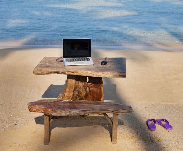 Steve Dimmick tweet media