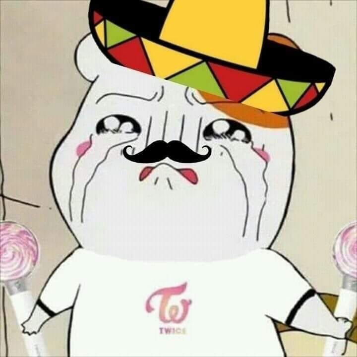 meriweather_z's tweet photo. Yo al enterarme que #Twice vendrá a mexico ❤️😭🍭🇲🇽 #TWICEWORLDTOUR2019 #TWICEinMEXICO 
@ocesa_total @JYPETWICE https://t.co/zEt3X35J2m