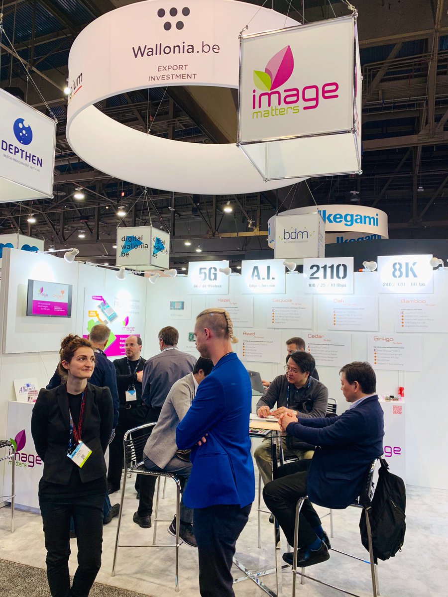 GVanpaesschen's tweet photo. Beautiful day for our 11 amazing Walloon companies at #NAB2019 in Las Vegas 🇧🇪🇺🇸! 👌😁 Come to see them at booth #C8629.
@AWEX_Belgium  @AWEXAmericas @WalloniaUSA @digitalwallonia @PDELCOMMINETTE @KempeneersM https://t.co/kqeFNugPAD