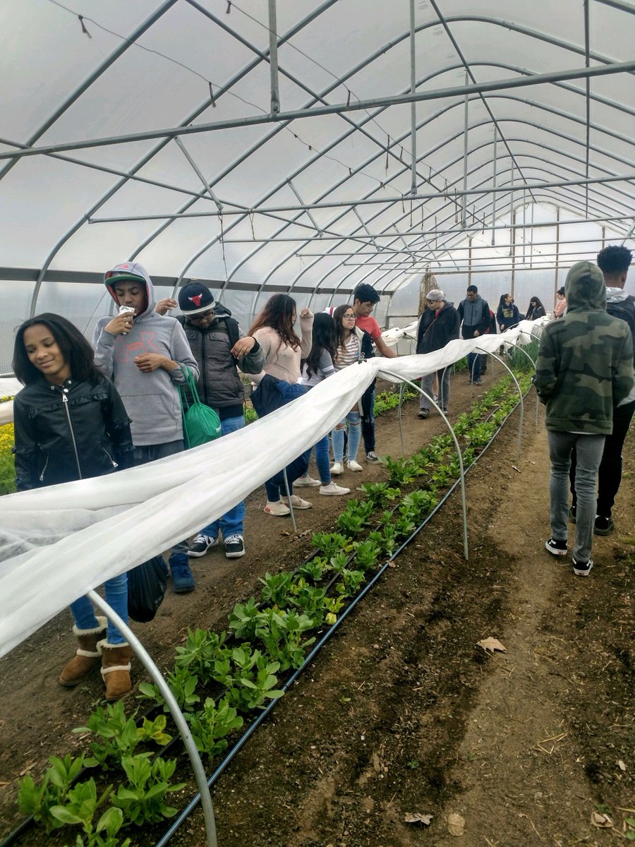 SUNYOrangeLPP's tweet photo. LPP @suny_sullivan Brighter Futures Culinary Arts Day today! Exploring career paths and having a blast! #LPP #Libertypartnershipsprogram #Sunyorange #sunysullivan #brighterfutures #culinaryarts #careerdevelopment #YOUTH https://t.co/XtPujVih2k