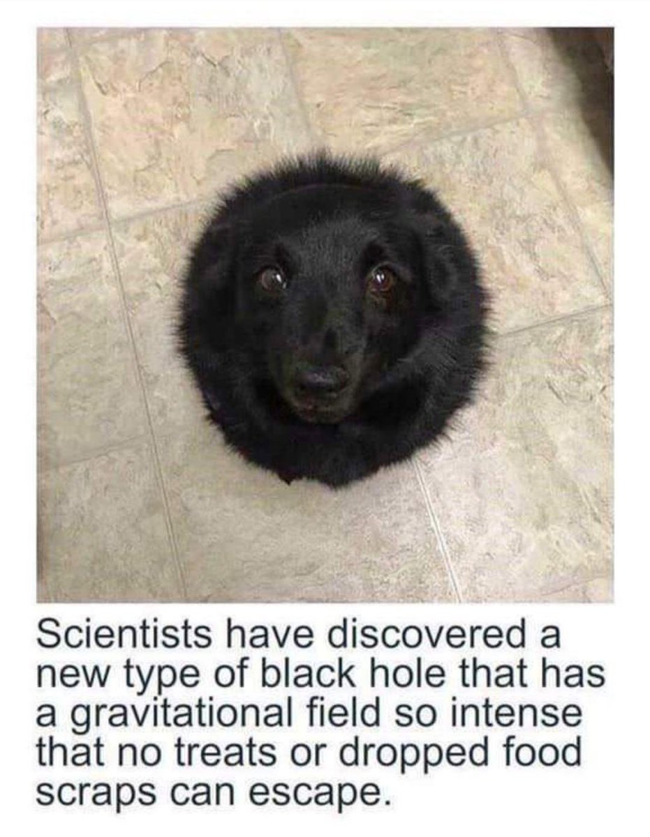 Andrew Maris tweet media