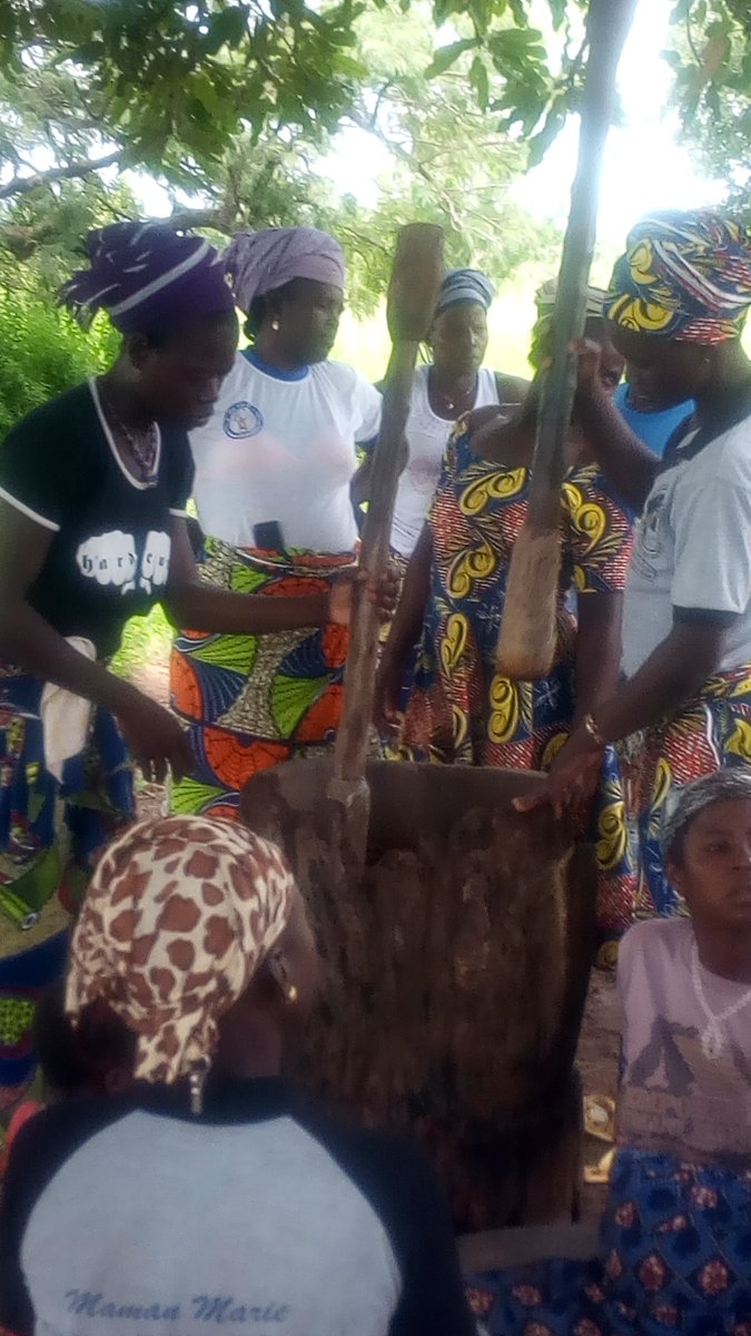 BPrcpc's tweet photo. L’assistance technique du #PRCPC (Financé #CIR &amp; #Bénin) (Mise en oeuvre @ONUDI, @CCI, #CNUCED) aux acteurs du secteur karité a permis d’obtenir des résultats satisfaisants. Les 3 entreprises accompagnées depuis 10 mois, ont affiché de bons résultats.
https://t.co/yZPW6ulObq https://t.co/Hv2PDngKqk