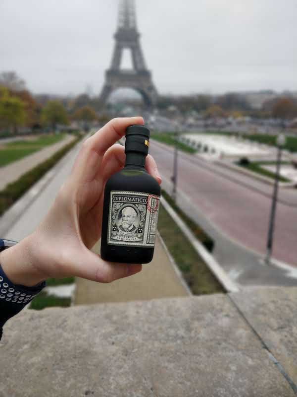 DiplomaticoRum's tweet photo. The city of love has a new favorite companion. #MiniDiplo https://t.co/3Kwt4dI8bq