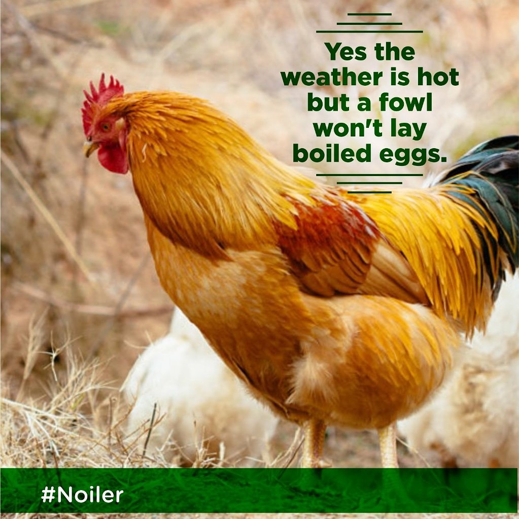 Noilerng tweet media