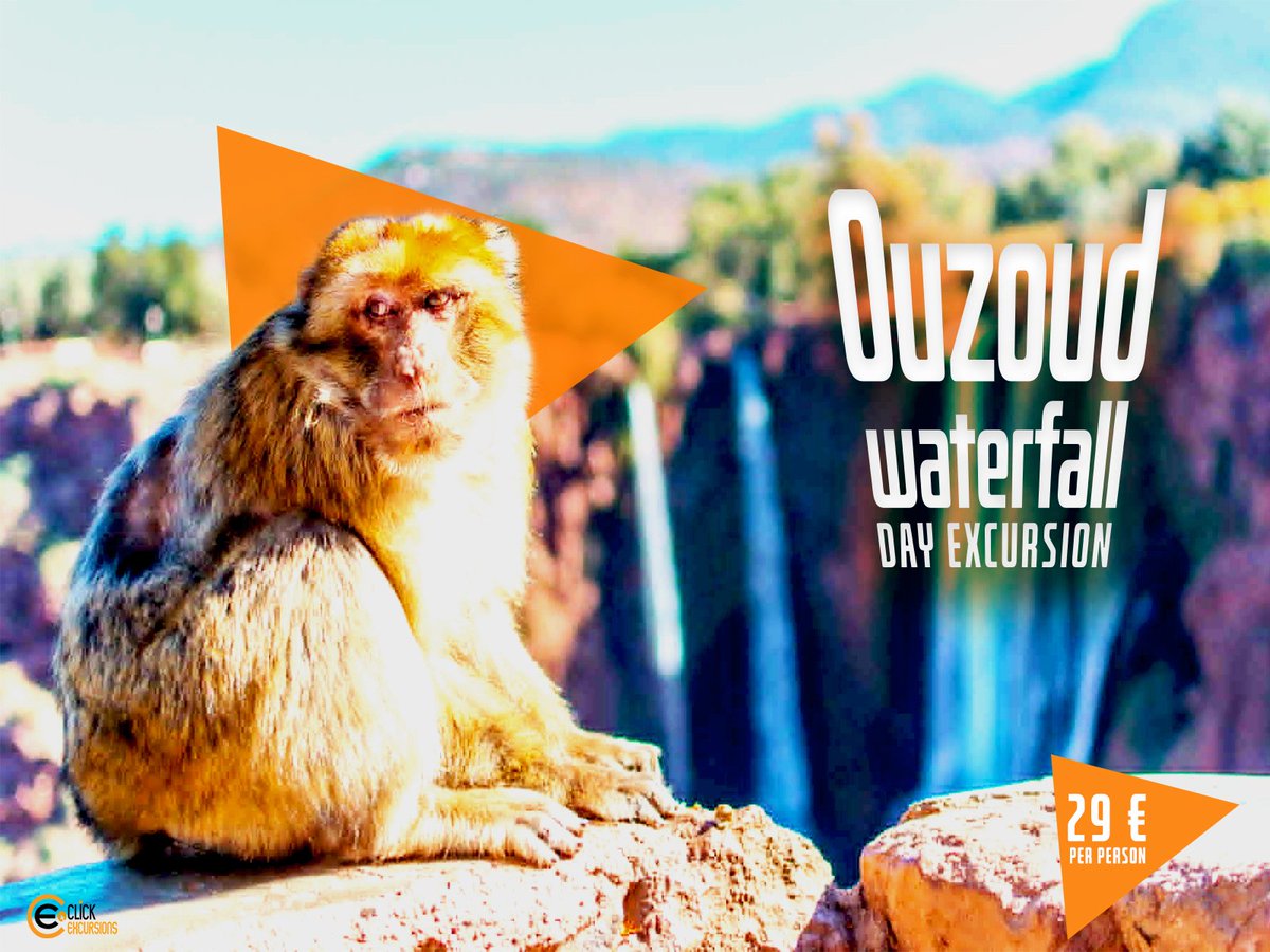 ClickExcursion's tweet photo. It's a better time to enjoy an unforgettable moment outside of Marrakech. In this spring, visit the most beautiful waterfalls; Ouzoud where you can see the monkeys who are familiar with the customers. 
🌅😎😁🙊🙉🙈🐵🌳🌲🌹🌻☀️🌈
#Ouzoud_Waterfalls #Clickexcursions_Friends #Enjoy https://t.co/BAz4EvUdq4