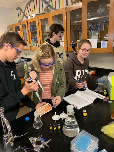 DolanBio's tweet photo. Simulating a real-world diagnostic procedure in #apbio with ELISA https://t.co/pAvhCGXXII