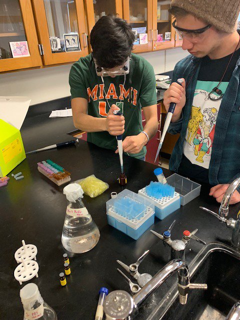 DolanBio's tweet photo. Simulating a real-world diagnostic procedure in #apbio with ELISA https://t.co/pAvhCGXXII