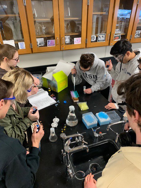 DolanBio's tweet photo. Simulating a real-world diagnostic procedure in #apbio with ELISA https://t.co/pAvhCGXXII