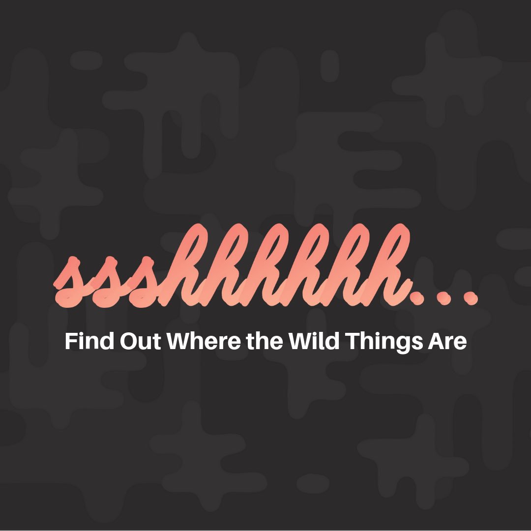 wildaccelerator's tweet image. Are you in on the secret? 🙌 Wild S2 is coming soon ... Click here wildaccelerator.org and share with other #fiercefemales below to be the first to know 💪

#wildAFFF #wildwomen #girlboss #fiercefounders #FemaleFounders