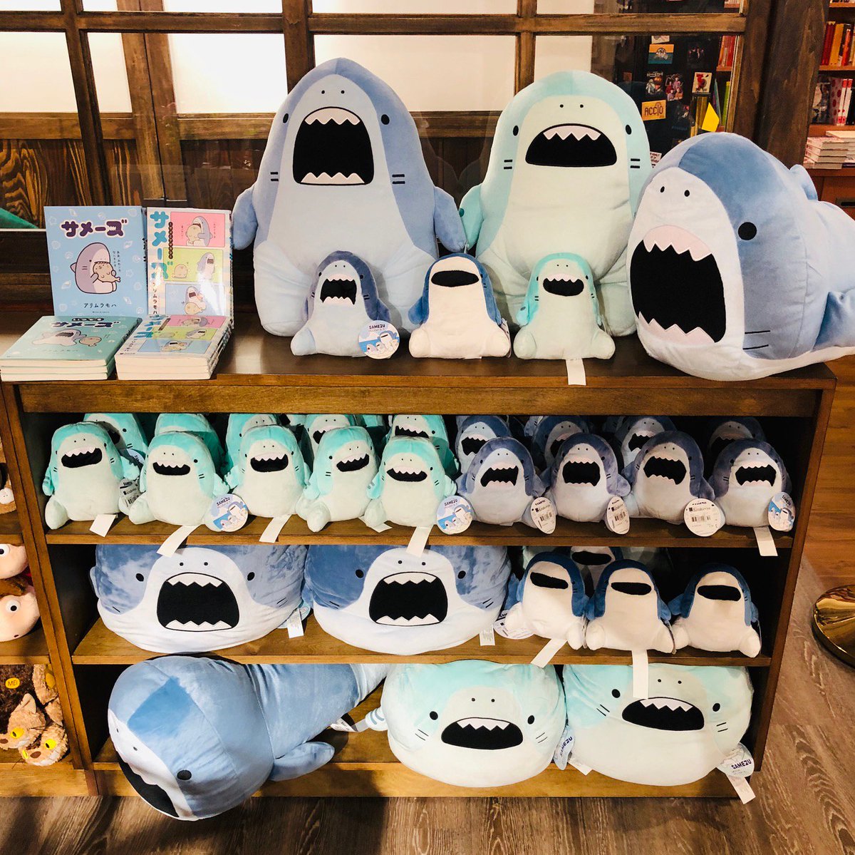 KinokuniyaUSA's tweet photo. Our Austin store has carrying #Samez merchandise!
“Same” means shark in Japanese. Samez was published as a comic in Japanese and the story is about the relax life around shark characters and their friend (Food)
BuyNow→https://t.co/RJ1UXJEjma
#MohaArimura #サメーズ #アリムラモハ https://t.co/k5mrXUhnXb