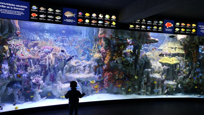 7news Boston Whdh On Twitter New England Aquarium Opens Coral