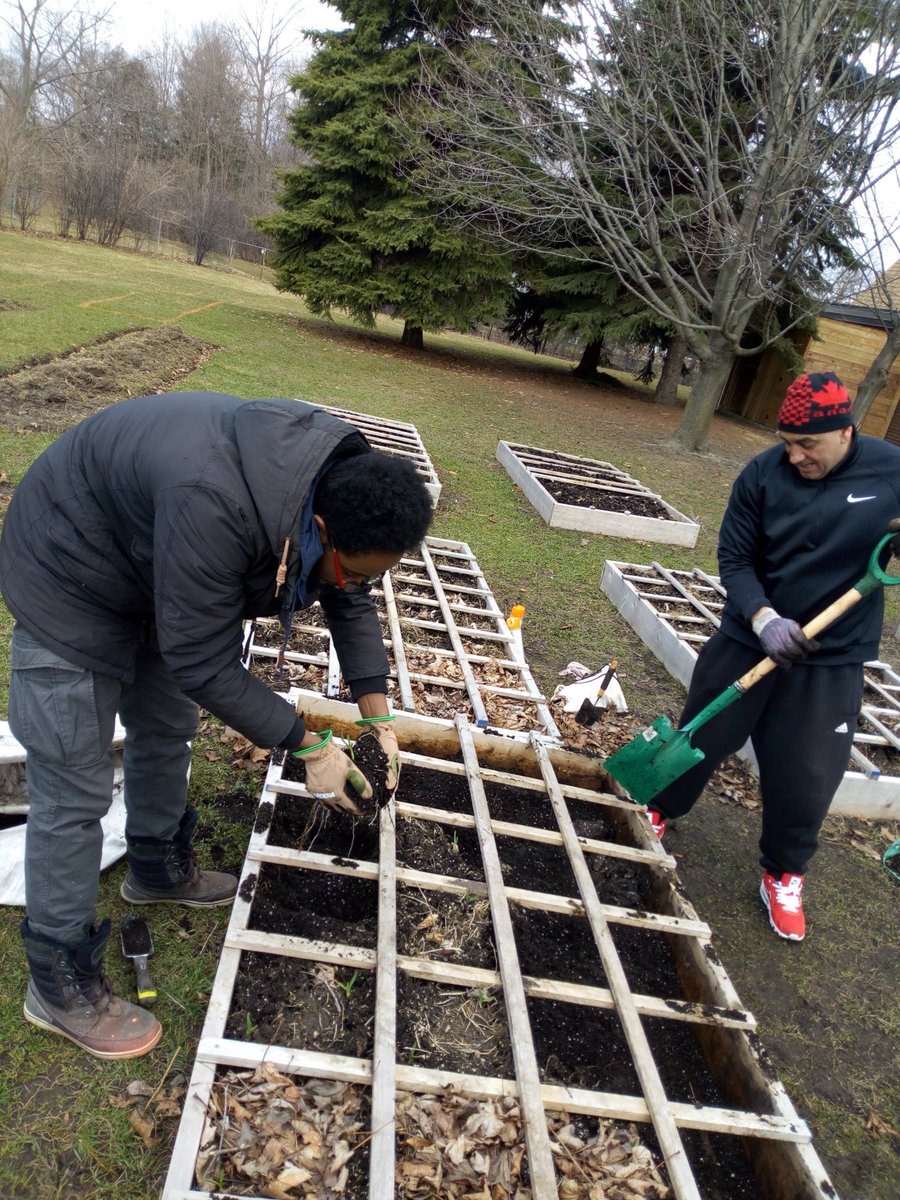 flemingdonpm's tweet photo. Men at work! There is nothing more rewarding to us than getting our hands dirty in the garden/farm to fight hunger and food insecurity. #FPM #UrbanFarming #TheCommonTable #SecondHarvestTO #FoodRescue #DailyBreadTO #FoodShareTO #EGBrickWorks #GGyouthcentre #COBSBread #EpiBread https://t.co/eJi2l3iu7P