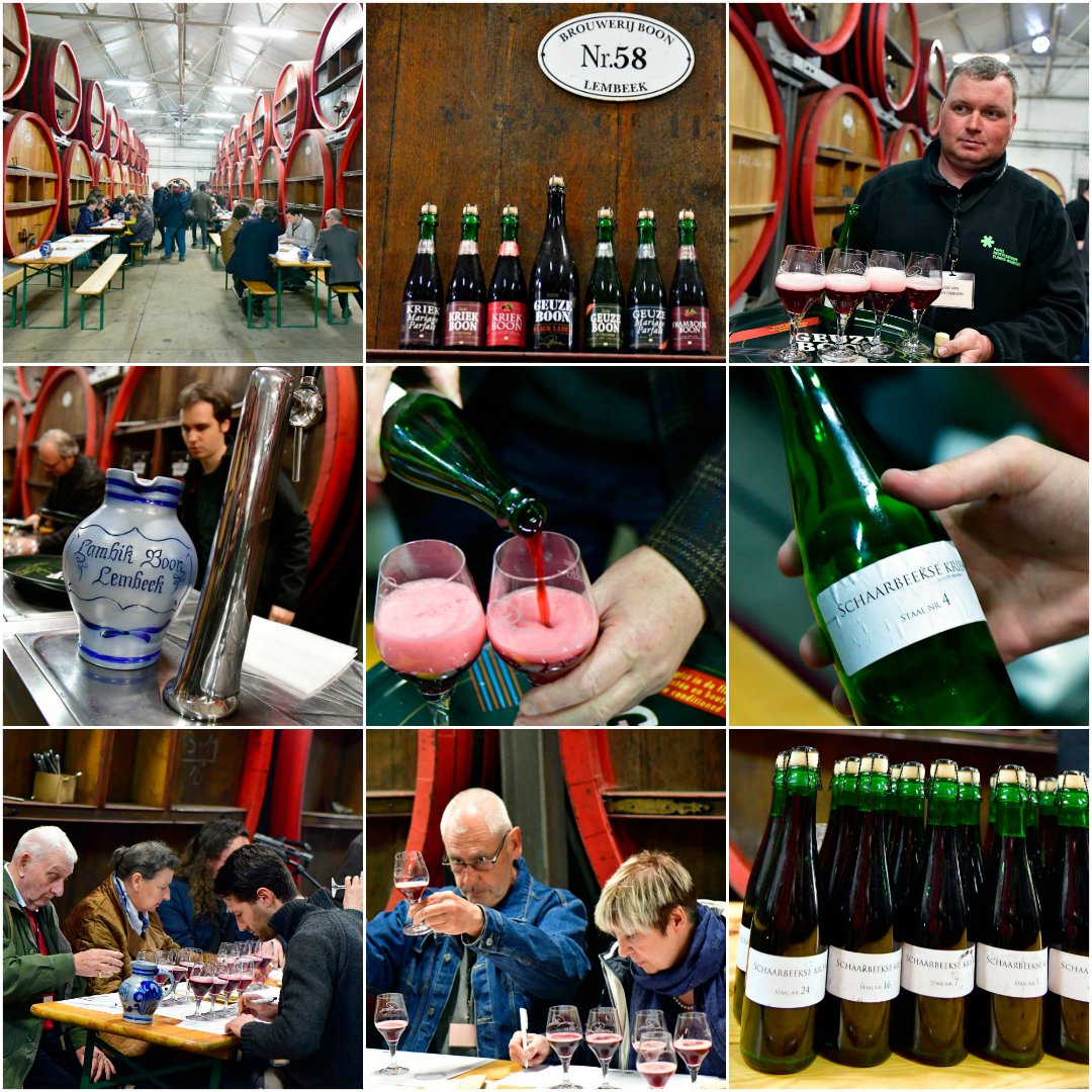 ‘Schaarbeekse krieken’ sour cherries are a slightly sweeter variety with a touch of vanilla and almond. The first tasting of genuine Schaarbeekse kriek brewed with lambic took place at Brewery Boon today. Back to their roots. #brouwerijboon #schaarbeeksekriek #krieklambic