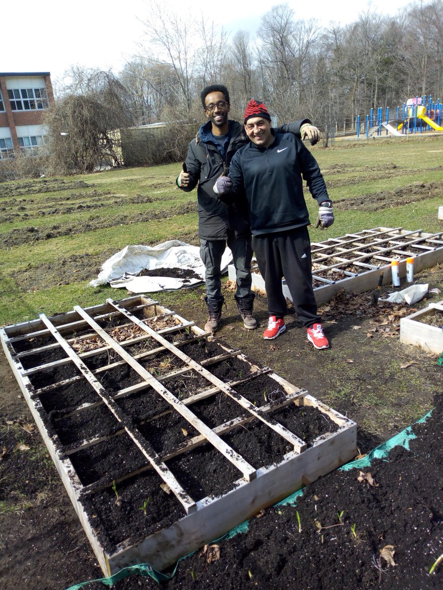 flemingdonpm's tweet photo. Men at work! There is nothing more rewarding to us than getting our hands dirty in the garden/farm to fight hunger and food insecurity. #FPM #UrbanFarming #TheCommonTable #SecondHarvestTO #FoodRescue #DailyBreadTO #FoodShareTO #EGBrickWorks #GGyouthcentre #COBSBread #EpiBread https://t.co/eJi2l3iu7P