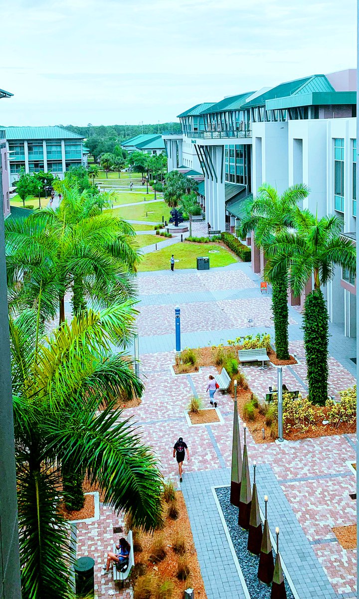 Beautiful day at FGCU🌤