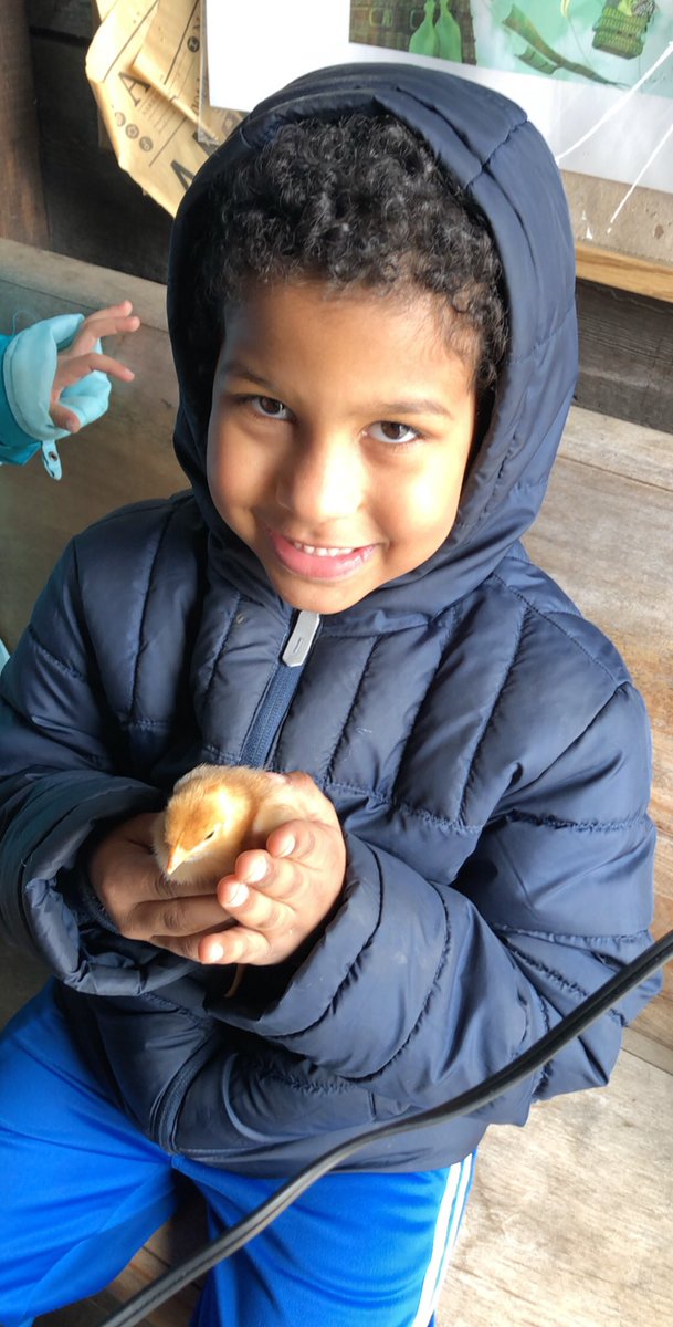 StringfellowSam's tweet photo. The #StringfellowSquad had a great time at Casey Farm and we learned so much about chickens and eggs! All the excitement tired us out for the bus ride home! π΄ https://t.co/SMTQdn1mzV