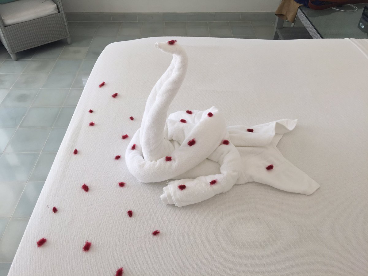 subiepuddin's tweet photo. Some bed towels animals https://t.co/afIIQUJ9cW