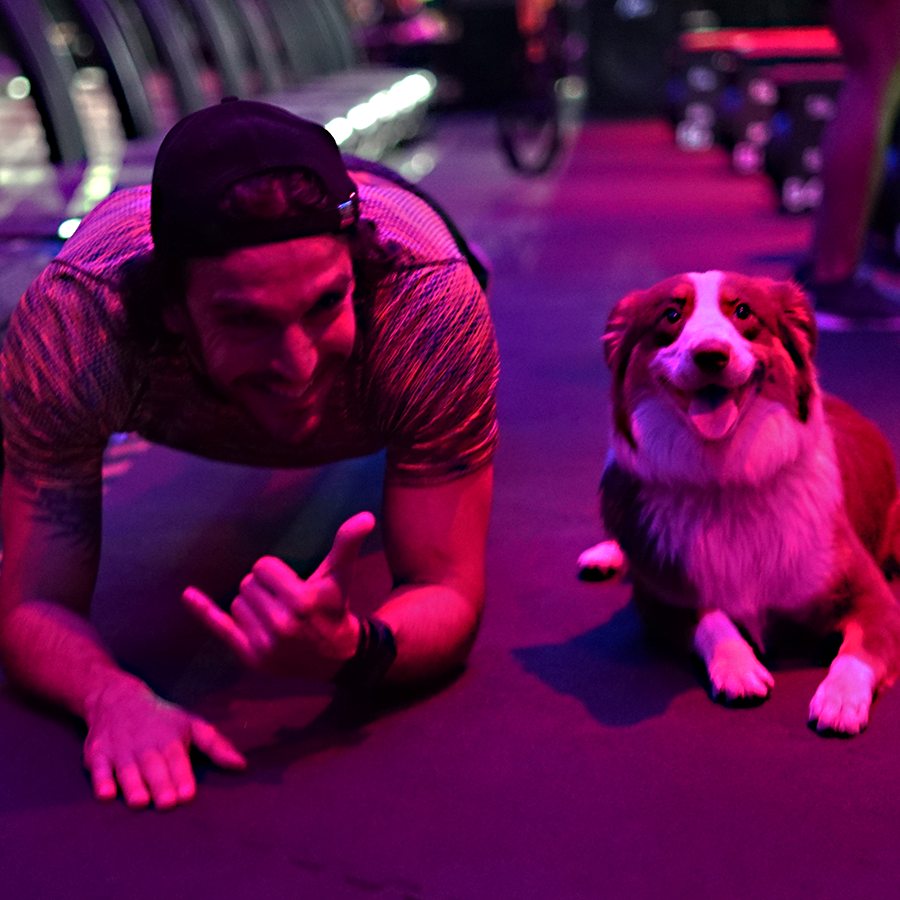 BEATNESSmx's tweet photo. ¡No lo dejes en casa! 🐶💕 Ven y entrena con tu mejor amigo. 🐾 ¡En #Beatness no sólo hay #Beatfriends también hay #Beatpets! 🙌🏼✨ https://t.co/xM751rdcrN