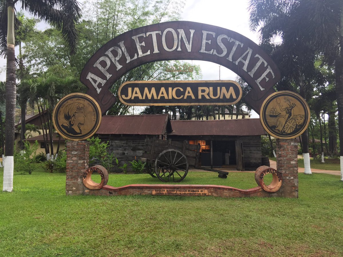 subiepuddin's tweet photo. Rum Tour https://t.co/7JIMX4PD4U