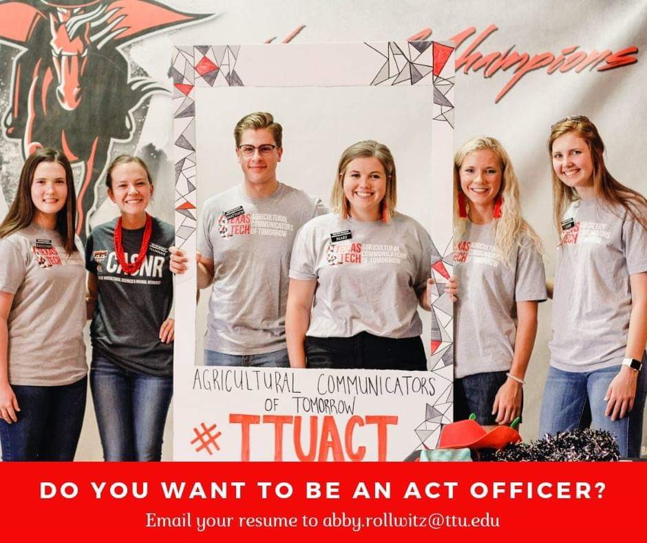 ActTtu's tweet photo. Officer applications are now open! If you are interested or have any questions, contact Abby.rollwitz@ttu.edu https://t.co/55PPsdXJ3C