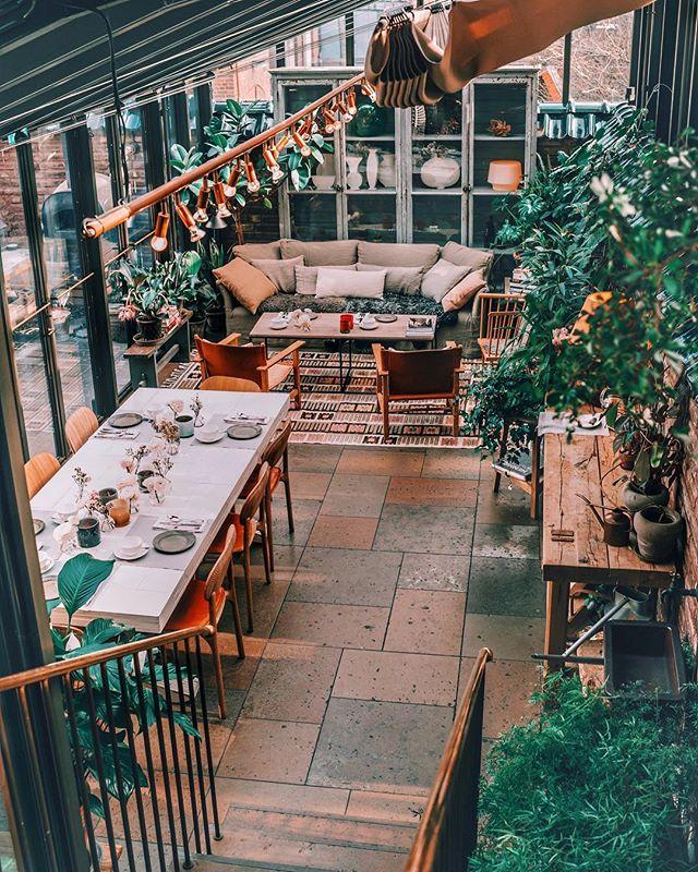 SilverSpoonLDN's tweet photo. My favourite room at @etthemstockholm had to be this beautiful garden room that was just flooded with light. We had breakfast here every day! 🌱🍃 Do you love a room filled with plants? #SilverSpoonStories #Etthem #EtthemStockholm https://t.co/lqVDFyf1cy https://t.co/wVC0CoT9bl