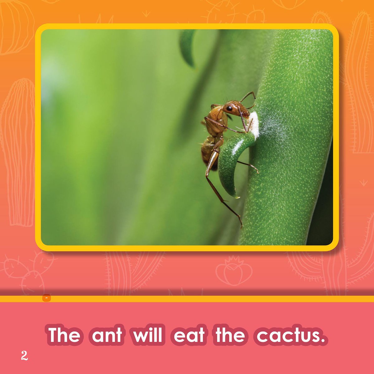 ARC Press tweet media