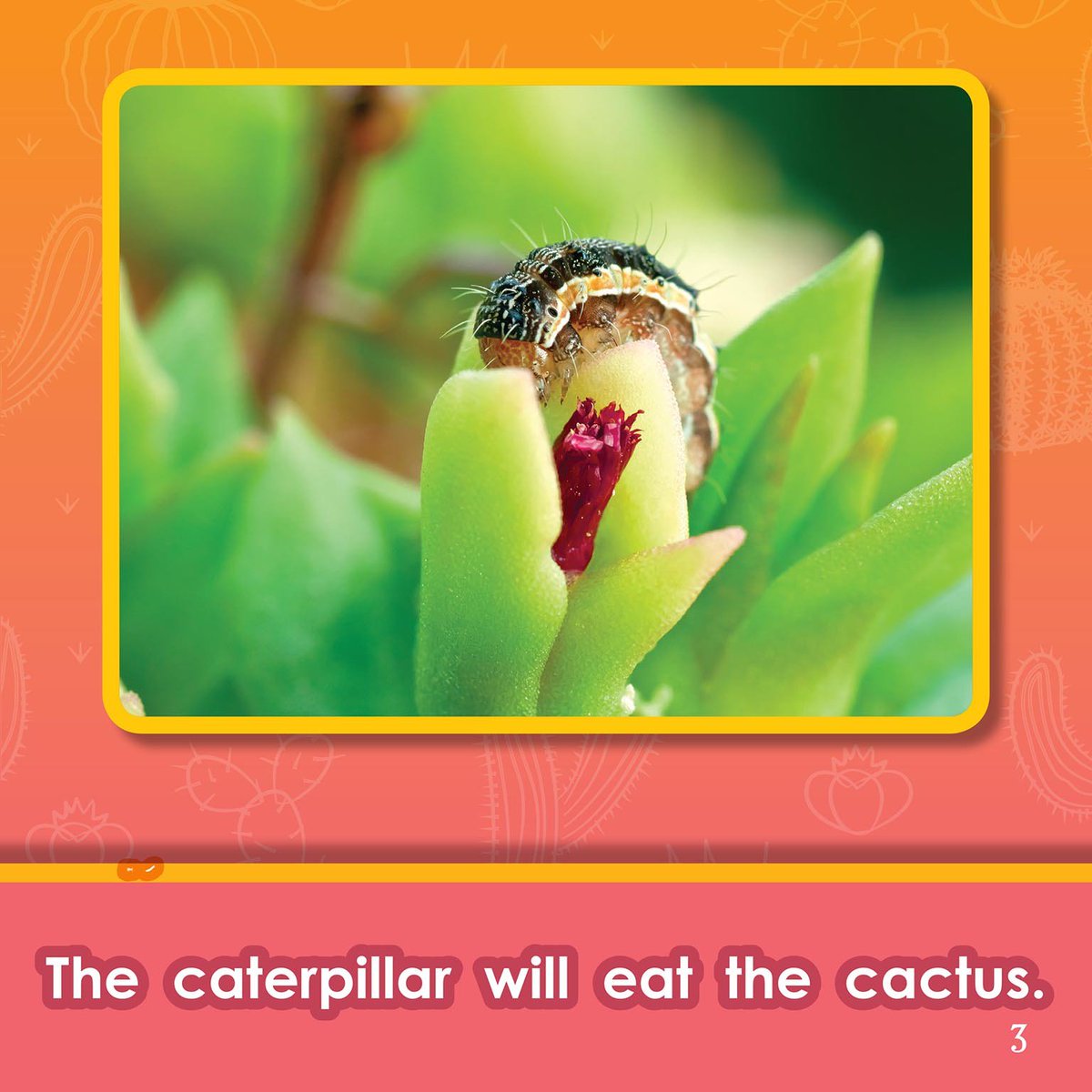 ARC Press tweet media