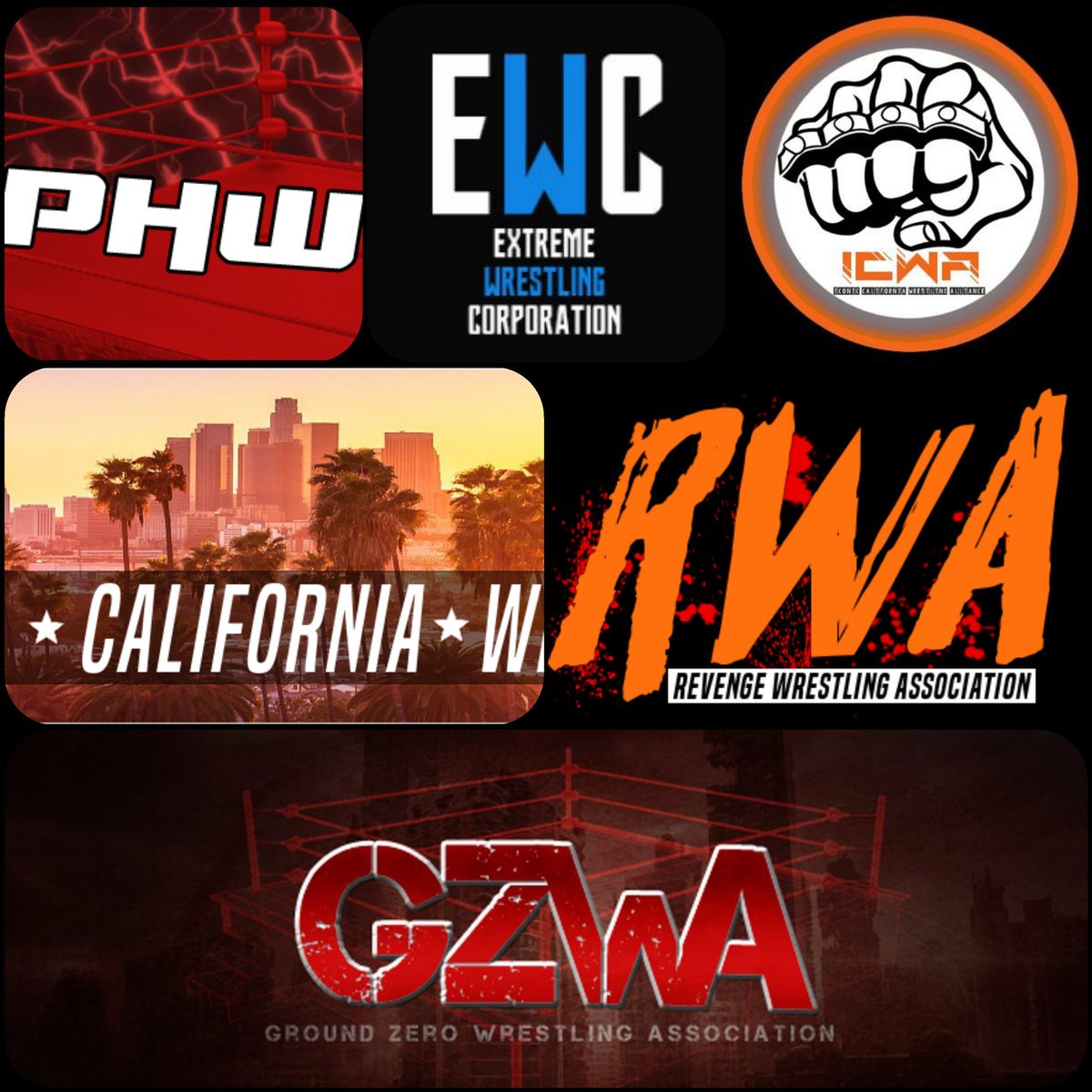 #IconicProWrestling would like to thank and recognize all of its affiliates. Continued success in this sport of kings! #BeIconic