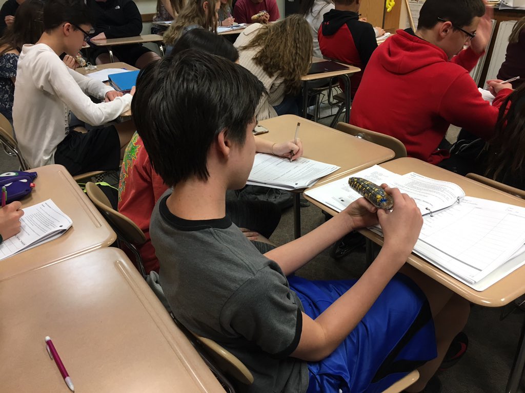 LSchemelWWS's tweet photo. Research, technical reading, open resources, real life applications, pre- and post-knows and wonders with GenBank, corn counting, and shared Google Docs in Dr. Sherman’s class! @WWSWHS @wwsweb https://t.co/blSj1K2oFO