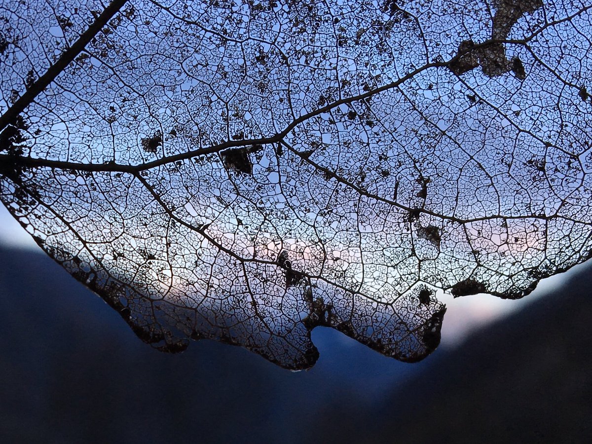 Evening map