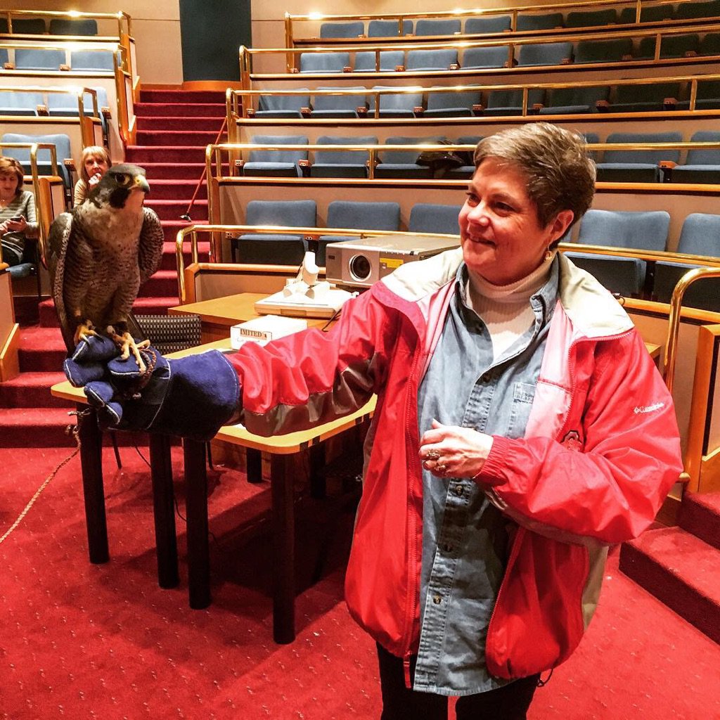 Last week, @PennsylvaniaDEP’s Environmental Education Center hosted a peregrine falcon workshop. Zooamerica’s Elaine Gruin allowed participants to hold Trinity, a peregrine falcon that was rehabilitated but could not be returned to the wild due to injury.