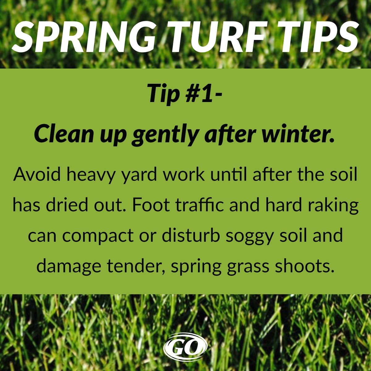 GOSEEDCO's tweet image. #DidYouKnow? April is National Lawn Care month! This month we’re bringing you some of our spring turf tips to keep your lawn in top shape! Here’s tip #1. Check back every Tuesday for more #TurfTips! #TurfgrassTuesday
