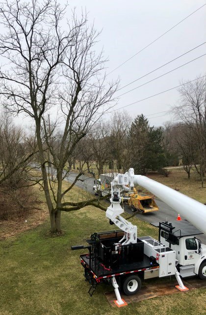 KramerTree's tweet image. Great pic of our new bucket truck in action today. 
#professionalarboriculture #ktsfleet #bucketwork