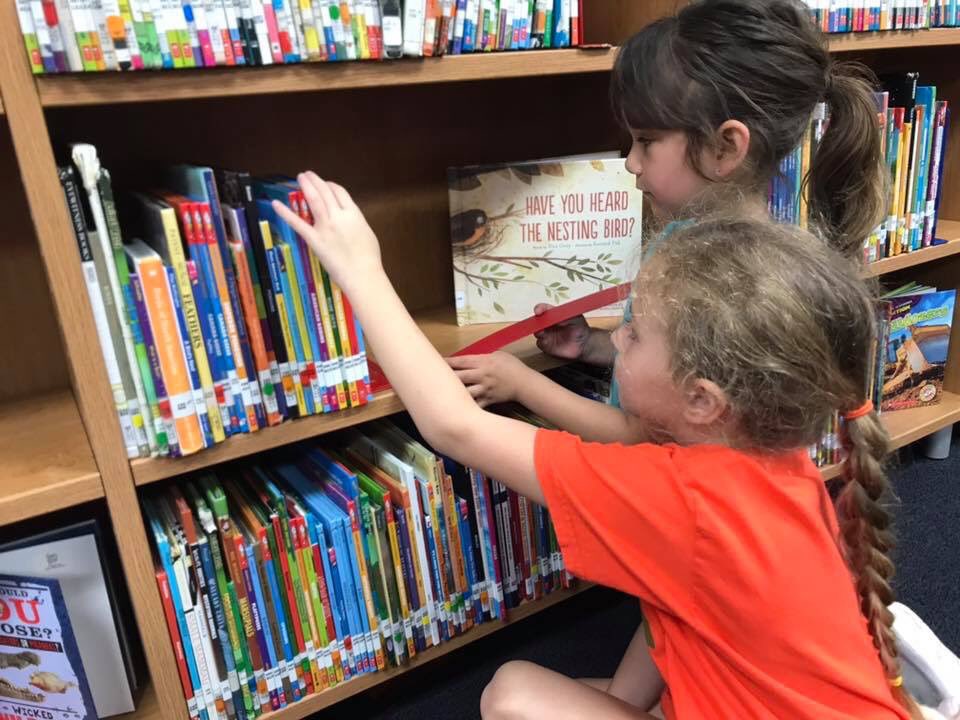 oesmarlins's tweet photo. It’s National Library Week! We’re so fortunate to have such a great space and such an awesome selection of resources to support our learners. OES students love learning, reading and so much more in our library! #TxEdTuesday #paisdlib #marlinpriderunsdeep https://t.co/kH12vF6ok2