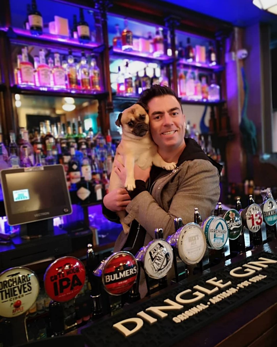 Puppy love in work today 🐶
When Ralph met <a href="/MDMA_9/">Michael D Macauley 🍉</a> ❤️
#puppy #dog #love #BAR