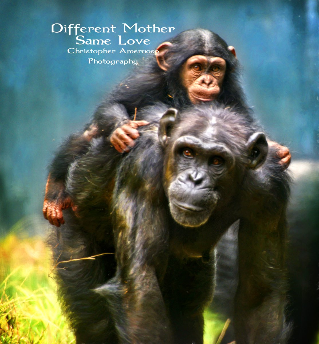 All species love the same way.