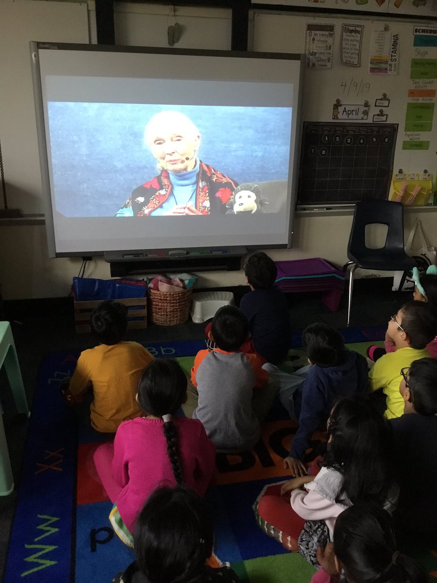Total engagement as we learned from <a href="/JaneGoodallInst/">Dr. Jane Goodall & the Jane Goodall Institute</a> during the live @SkypeClassroom broadcast today! #inspired #Skype2Learn <a href="/SBSDMJ/">Monmouth Junction ES</a> <a href="/MrsVC3/">Cristina Vildostegui</a> <a href="/kwboyce/">Kathleen Boyce</a>