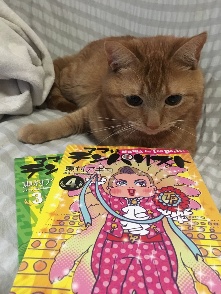 ママはテンパリスト